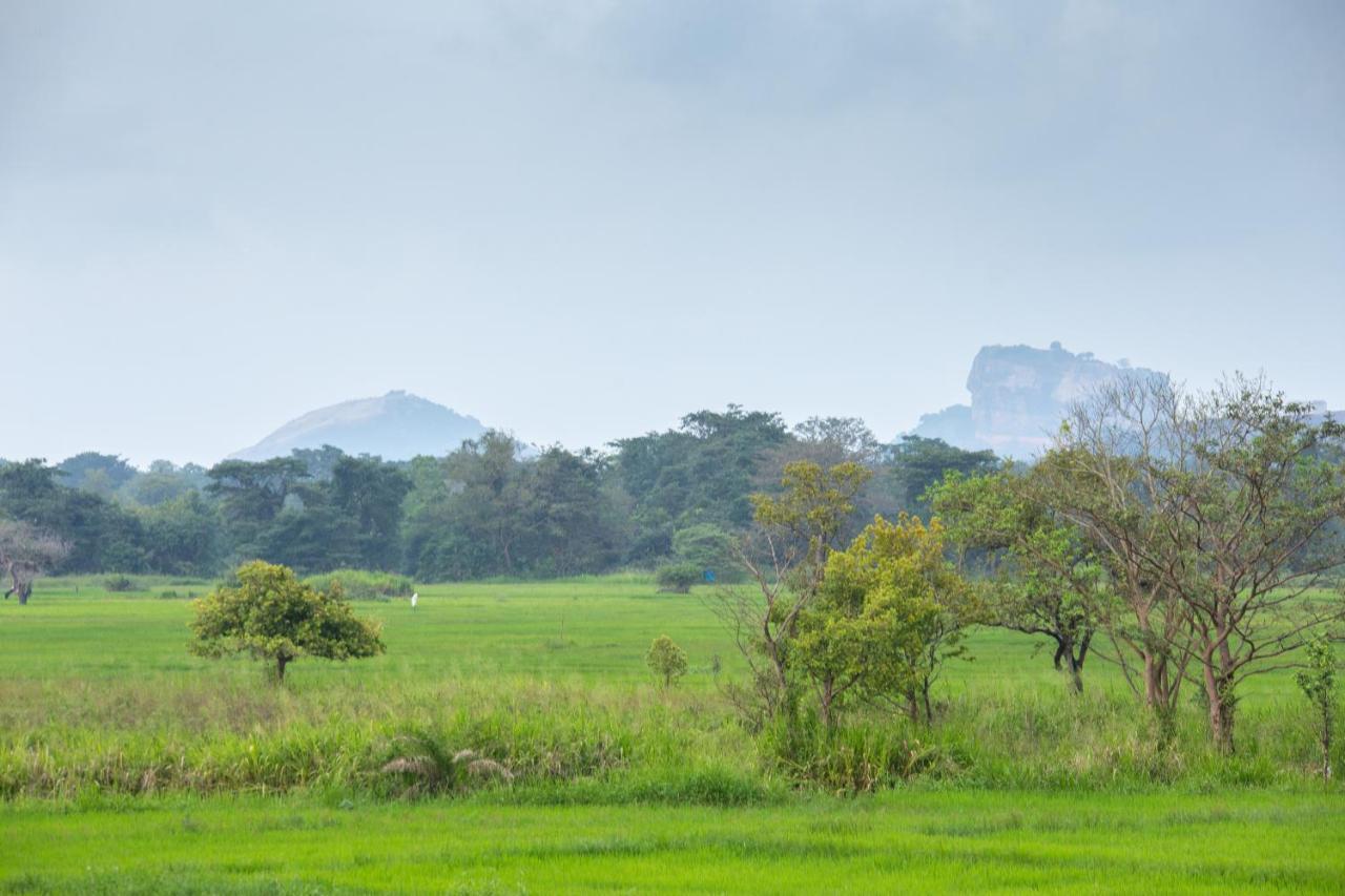 The Hideout Sigiriya Villa Екстериор снимка